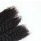 Het echte Ruwe Maagdelijke Krullende Haar bundelen/de Curly Hair Weave With Sluiting van Jerry leverancier